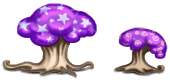 Funghi di Cromirland