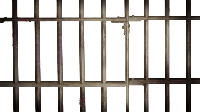 Sbarre della prigione