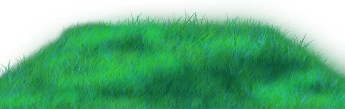 Picnic Grass