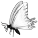 Farfalla pasquale 2