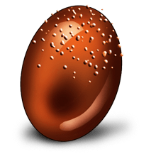 Uovo di cioccolato