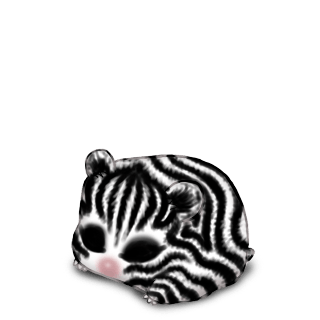 Adotta un Criceto Zebra