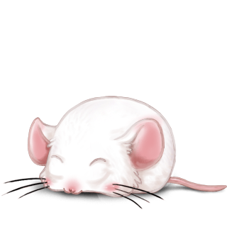 Adotta un Mouse Crema