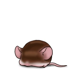 Adotta un Mouse Cioccolato
