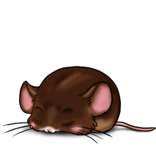 Adotta un Mouse Cioccolato