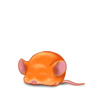 Adotta un Mouse Topo di zucca