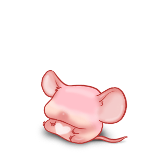 Adotta un Mouse Quarzo rosa