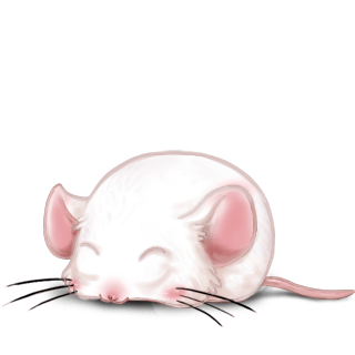 Adotta un Mouse Albino