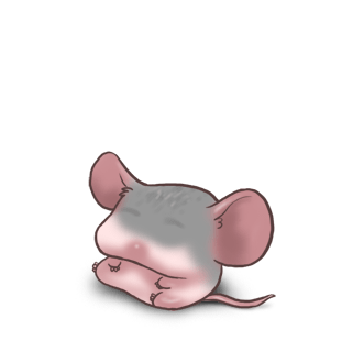 Adotta un Mouse Argento