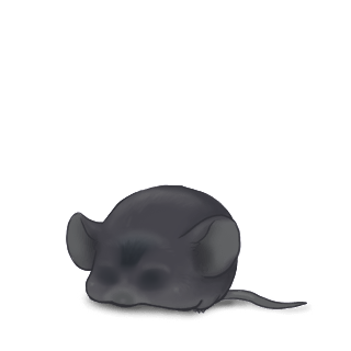 Adotta un Mouse Ariete grigio