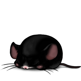 Adotta un Mouse Nero