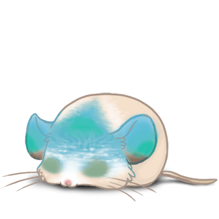 Adotta un Mouse Blu grigio