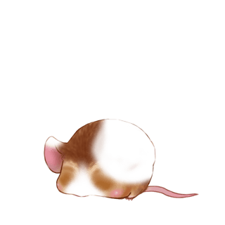 Adotta un Mouse Beige dorato