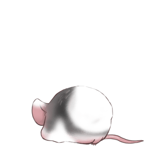 Adotta un Mouse Bianco e nero